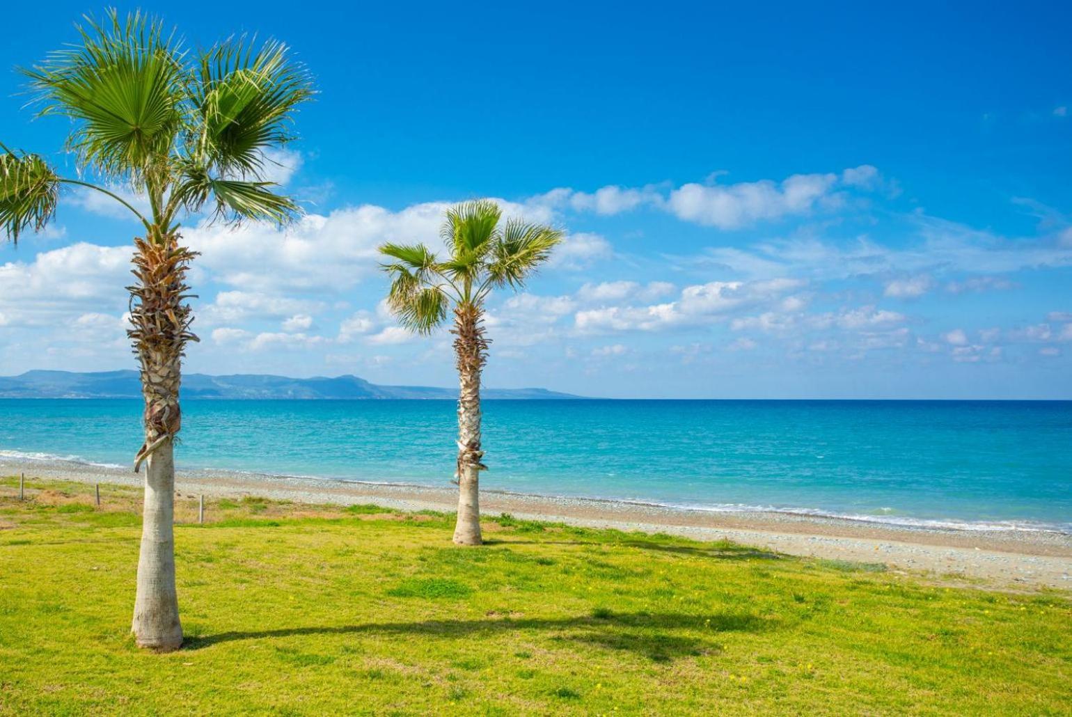 Villa Rose Paphos Exterior photo